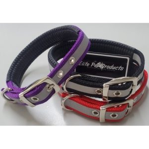 COLLARS AND LEADS